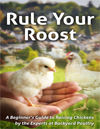 Best Backyard Chickens txt